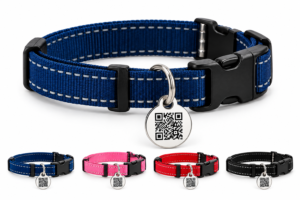 Pet QR Tag + Collar