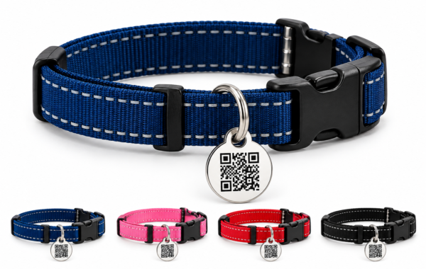 Pet QR Tag + Collar