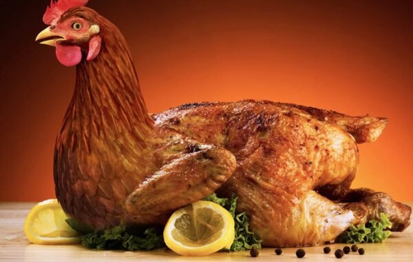 poultry, food, new, nature, chicken, birds, chicken dish, chicken breast, chimaek, cooking, seasoned chicken, fried chicken, chicken meat, chicken, chicken, chicken breast, fried chicken, fried chicken, fried chicken, fried chicken, fried chicken, chicken meat, chicken meat, chicken meat