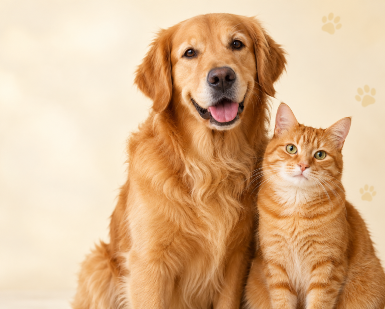 Pet Health Record